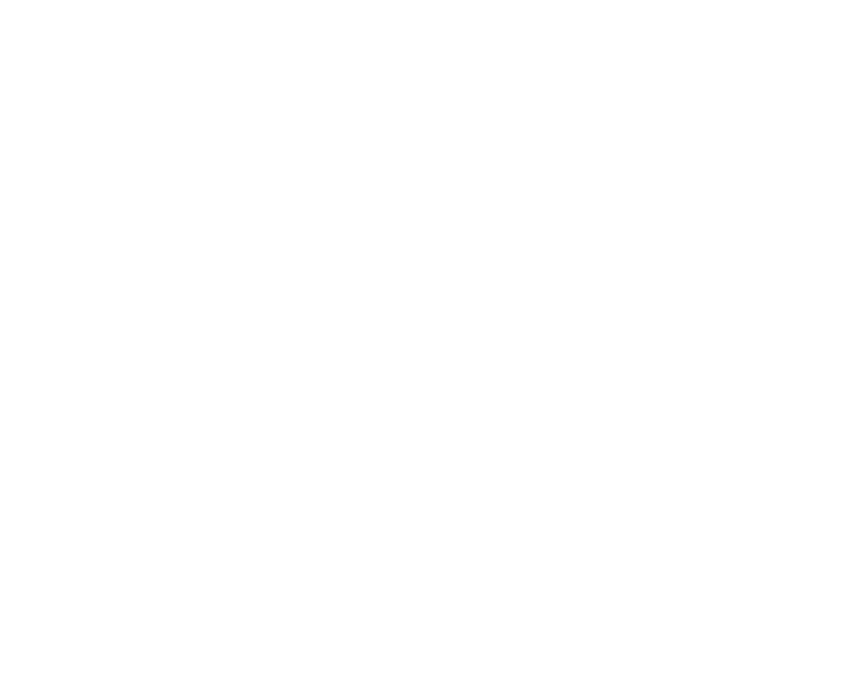 TOZA HAYOT — cleaning service
